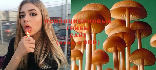 ешки Вязники