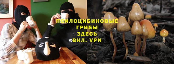 ешки Вязники