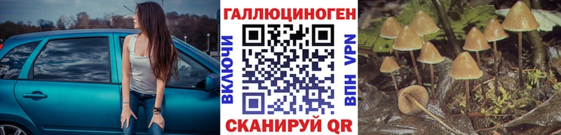 Купить где  Сольцы  Галлюциногенные грибы Magic Shrooms 